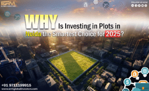 Why Is Investing in Plots in Noida the Smartest Choice for 2025?
